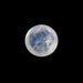 Blue Moonstone - 1.33 Carats