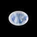 Blue Moonstone - 1.36 Carats