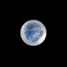 Blue Moonstone - 1.55 Carats