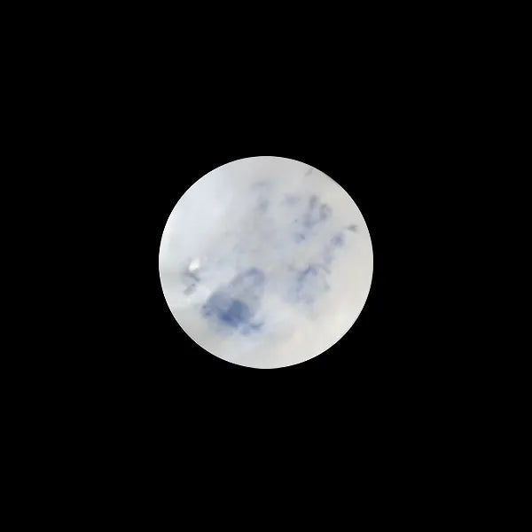 Blue Moonstone - 1.89 Carats