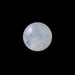 Blue Moonstone - 2.28 Carats