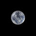 Blue Moonstone - 2.52 Carats