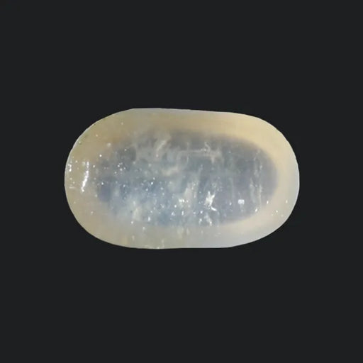 Blue Moonstone - 4.09 Carats