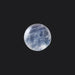 Blue Moonstone - 7.51 Carats