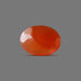 Carnelian - 6.98 carats