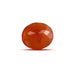 Carnelian - 10.60 carats