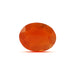 Carnelian - 6.63 carats