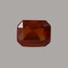 H_3.13_Carats_F230425