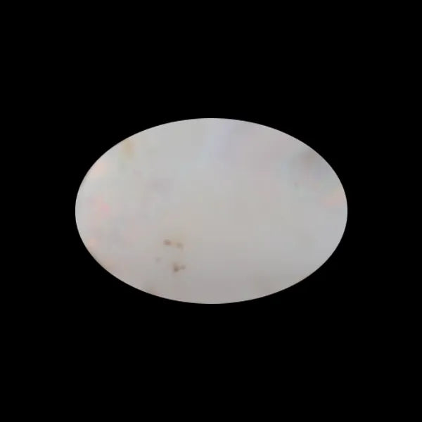 O_3.11_Carats_B230525