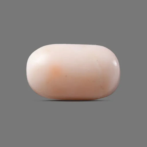 P_12.9_Carats_F160425