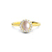 Pearl Gold Ring R35