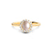 Pearl Panchdhatu Ring R35