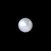South Sea Pearl - 6.50 carats
