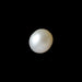 South Sea Pearl - 6.60 carats