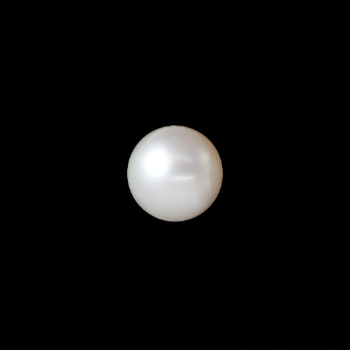 South Sea Pearl - 7.26 carats