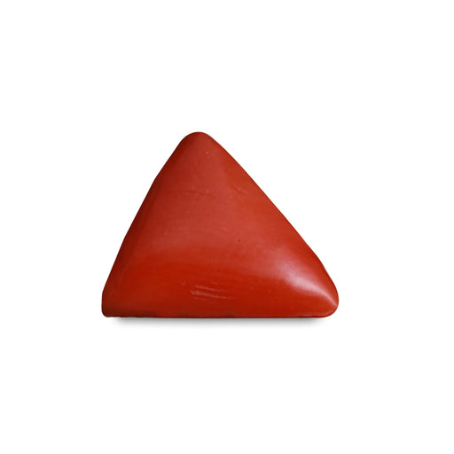 Red Coral - 3.33 carats