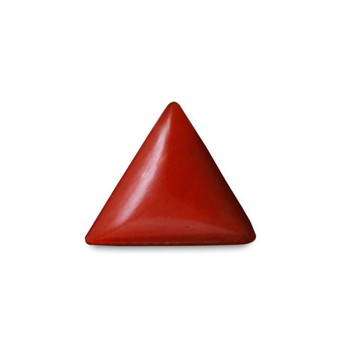 Red Coral - 3.82 carats