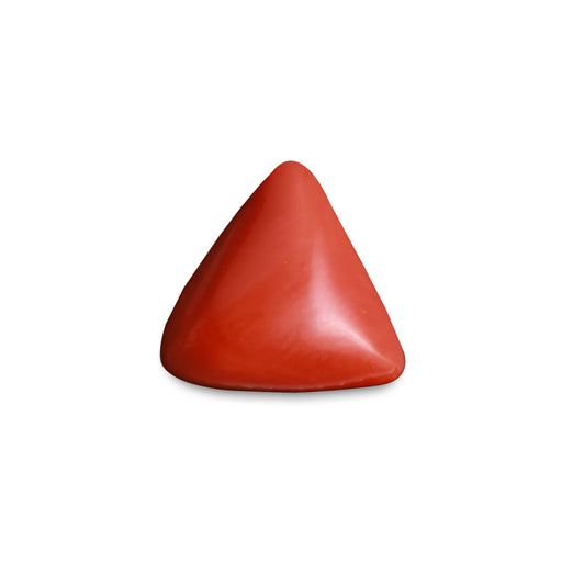 Red Coral - 4.11 carats