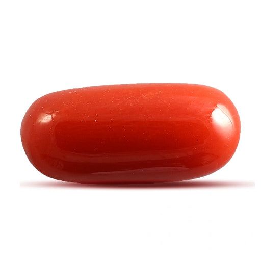 Red Coral - 4.14 carats