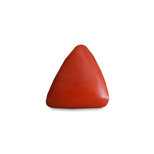 Red Coral - 4.46 carats