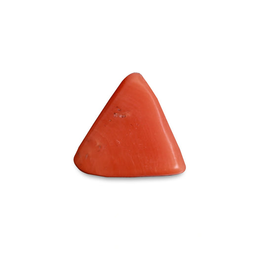 Red Coral - 4.47 carats