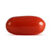 Red Coral - 4.48 carats