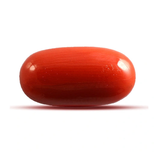 Red Coral - 4.54 carats