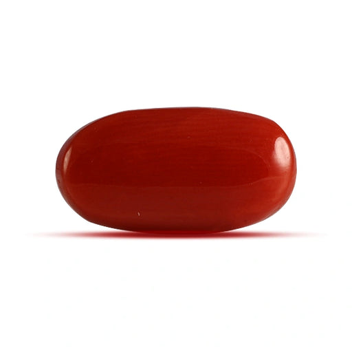 Red Coral - 4.60 carats
