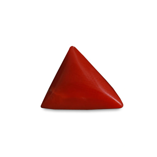 Red Coral - 4.60 carats