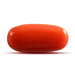 Red Coral - 4.63 carats
