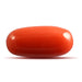 Red Coral - 4.63 carats