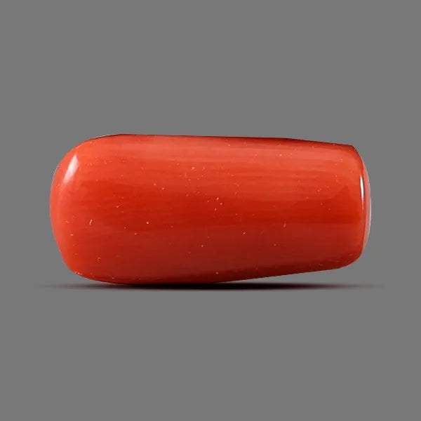 Red Coral - 4.64 carats