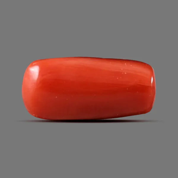 Red Coral - 4.64 carats