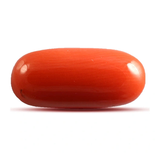 Red Coral - 4.68 carats