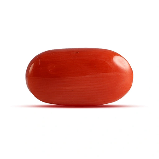 Red Coral - 4.74 carats