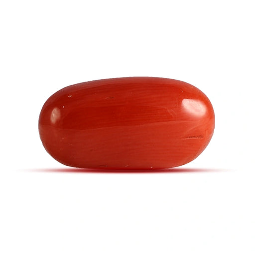 Red Coral - 4.74 carats