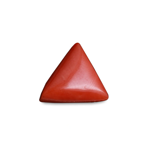Red Coral - 4.76 carats