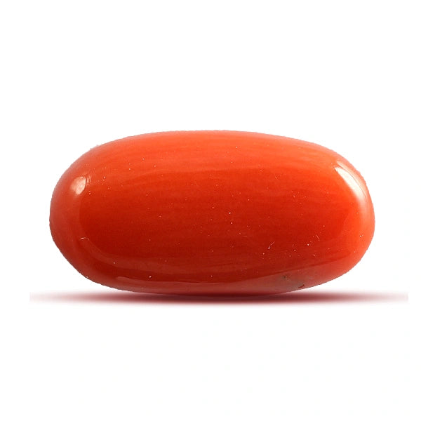 Red Coral - 4.78 carats