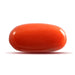 Red Coral - 4.78 carats