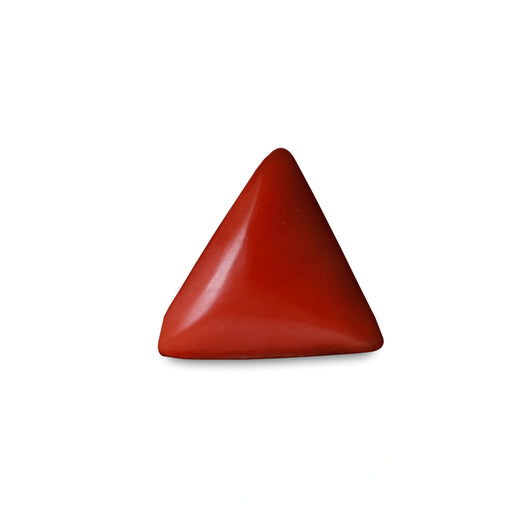Red Coral - 5.00 carats