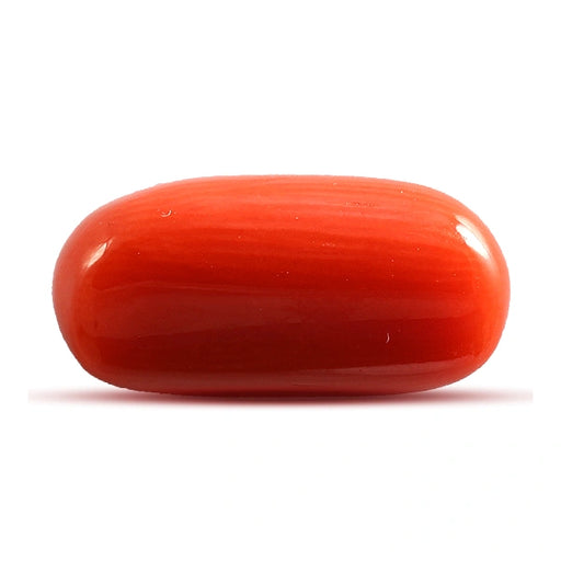Red Coral - 5.09 carats