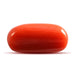 Red Coral - 5.09 carats
