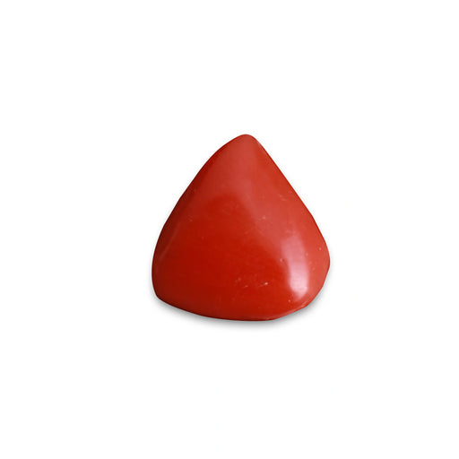 Red Coral - 5.23 carats