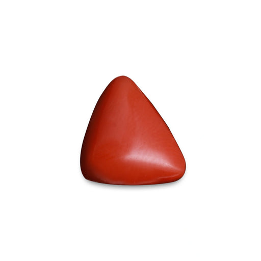 Red Coral - 5.28 carats