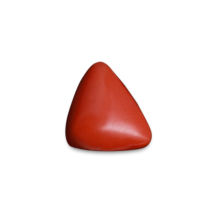 Red Coral - 5.28 carats