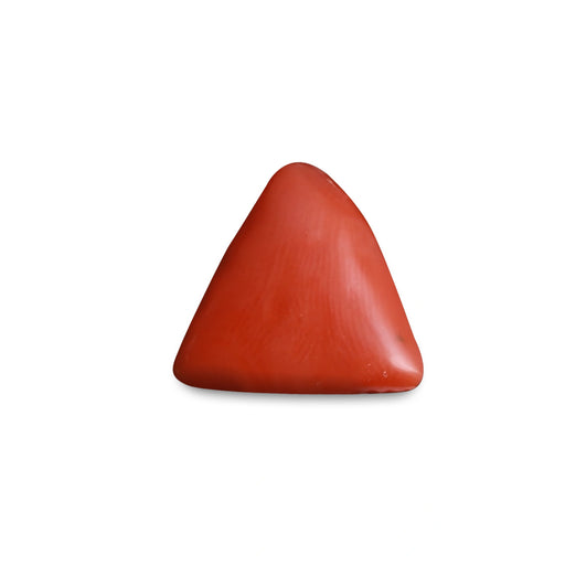 Red Coral - 5.29 carats