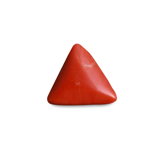 Red Coral - 5.45 carats