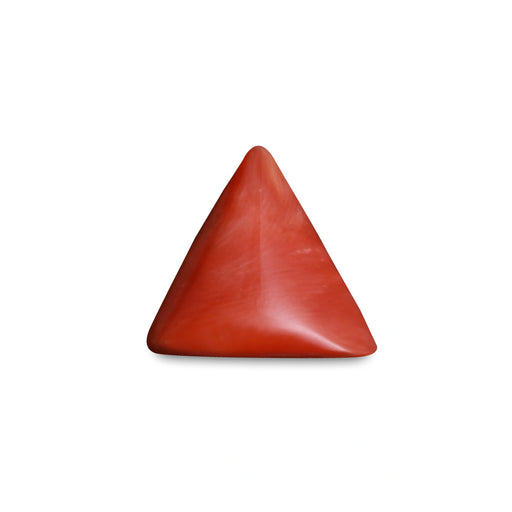 Red Coral - 5.47 carats