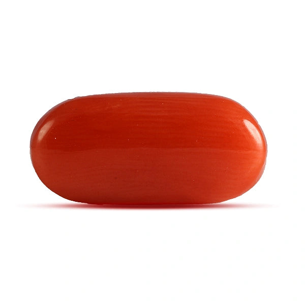 Red Coral - 5.50 carats