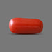 Red Coral - 5.57 carats